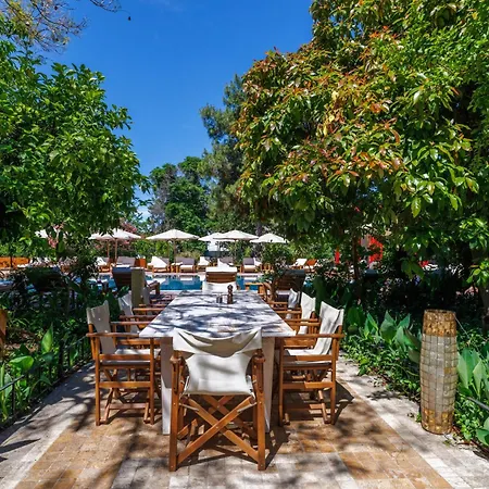 Lill Maison & Club 3*