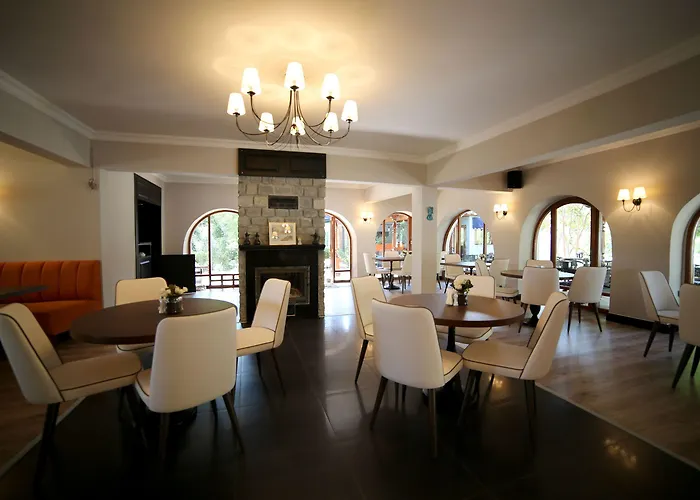 Akkent Garden 3* 페티예